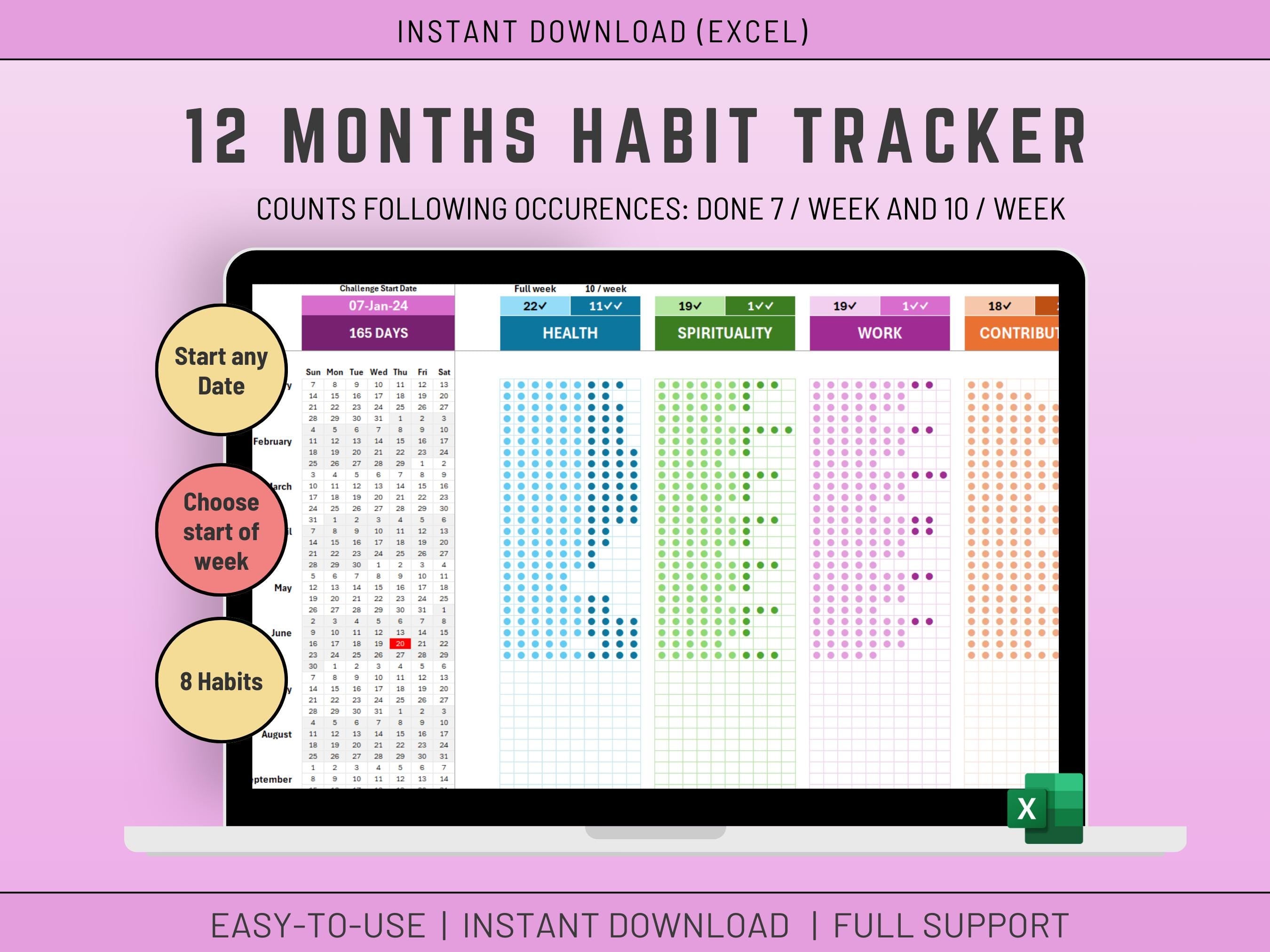Excel Habit Tracker: 12 Month Goal Monitoring (Digital Download)