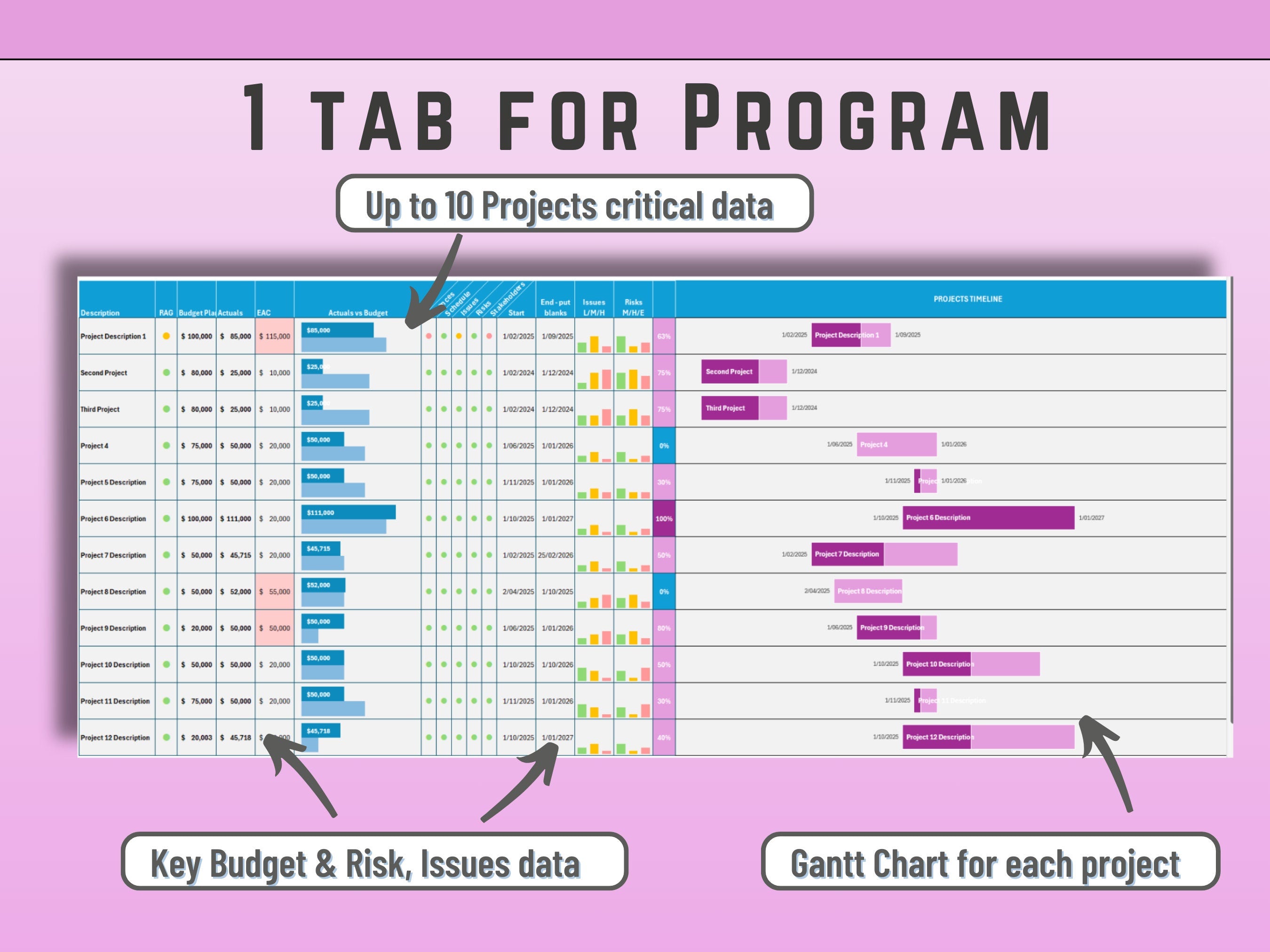 Program and Project Dashboard in Excel | All 10 Projects consolidate in Program view | Manual input possible | Digital Download