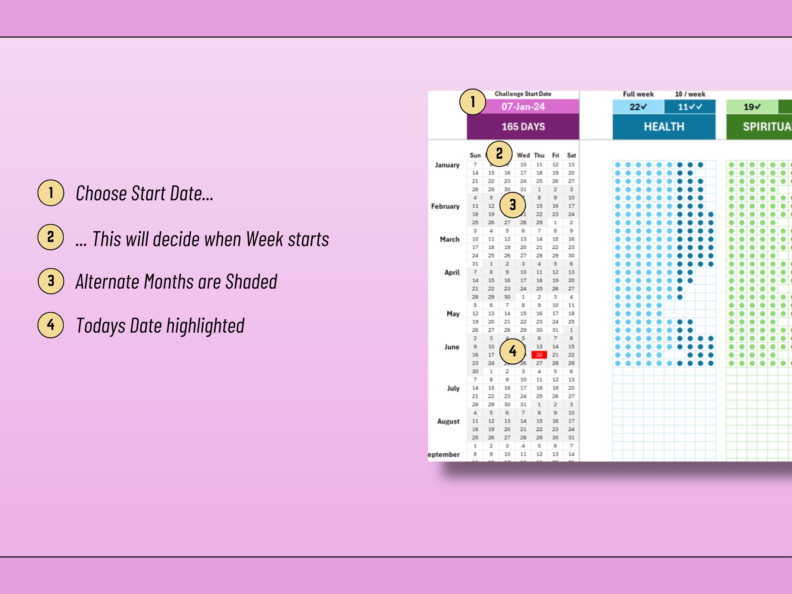 Excel Habit Tracker: 12 Month Goal Monitoring (Digital Download)