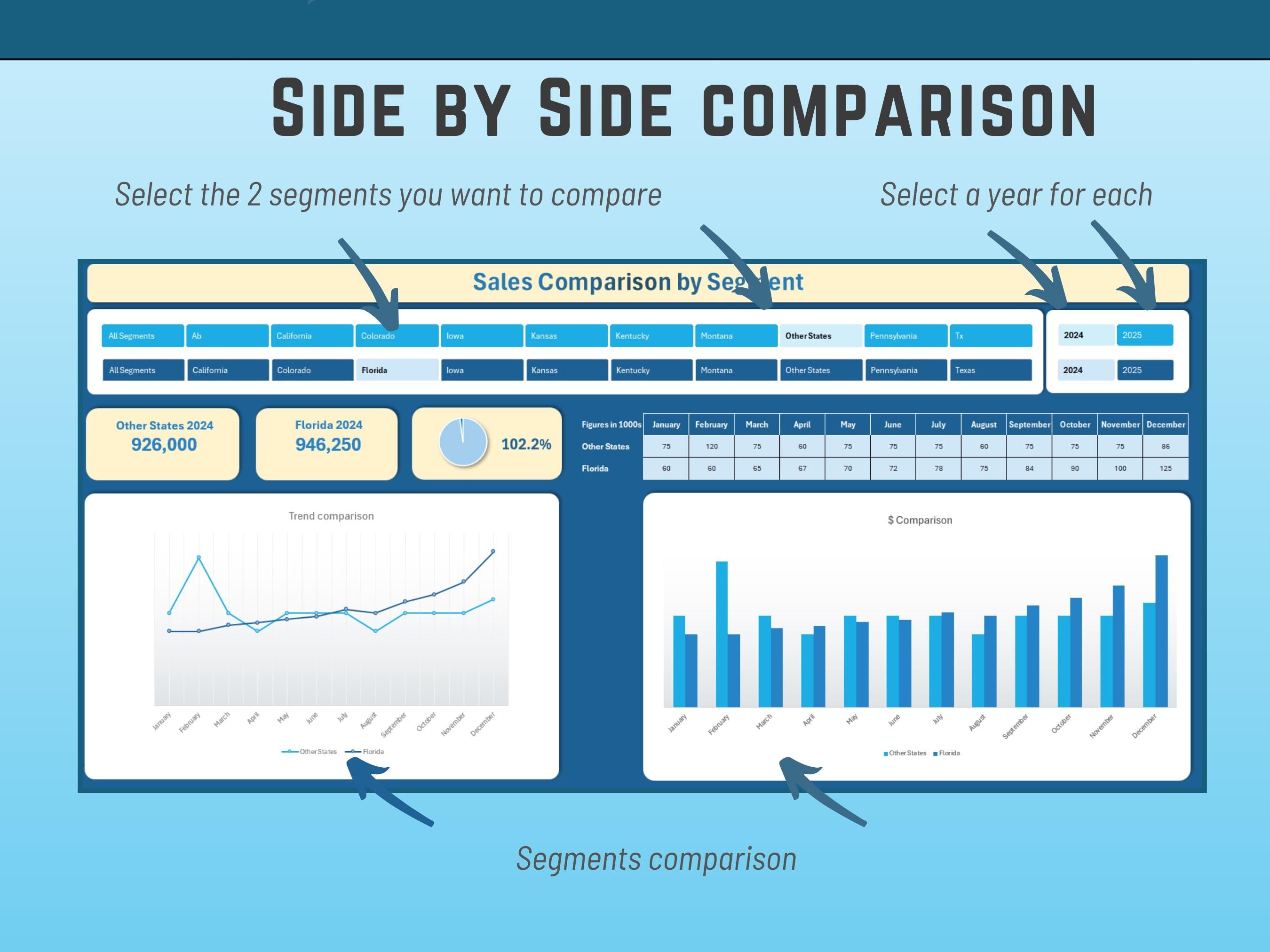 Excel Sales Data Year Segment Comparison dashboard, Segment and Sales Figures, Across Regions, Instant Download, Maps, Charts