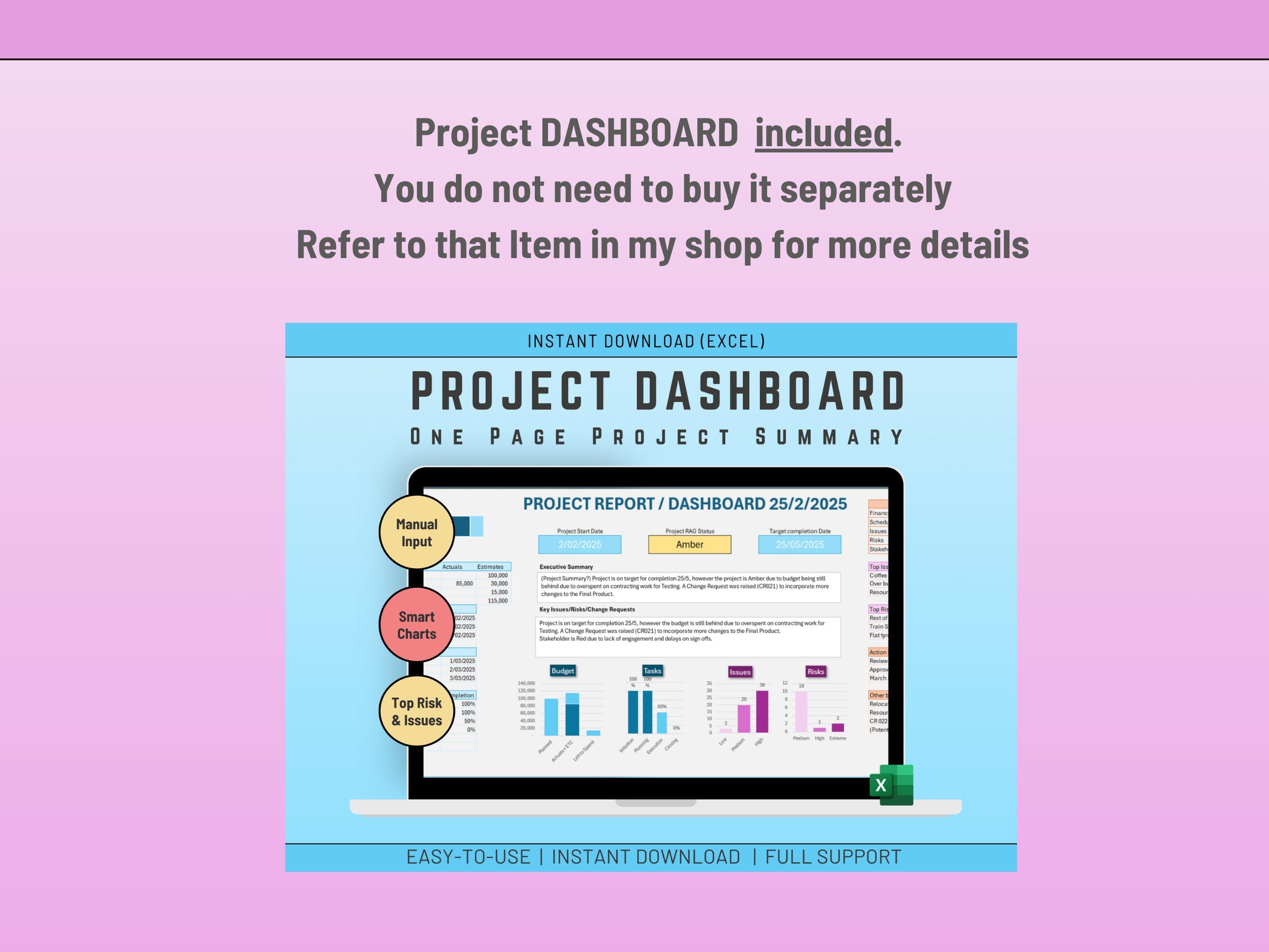Program and Project Dashboard in Excel | All 10 Projects consolidate in Program view | Manual input possible | Digital Download