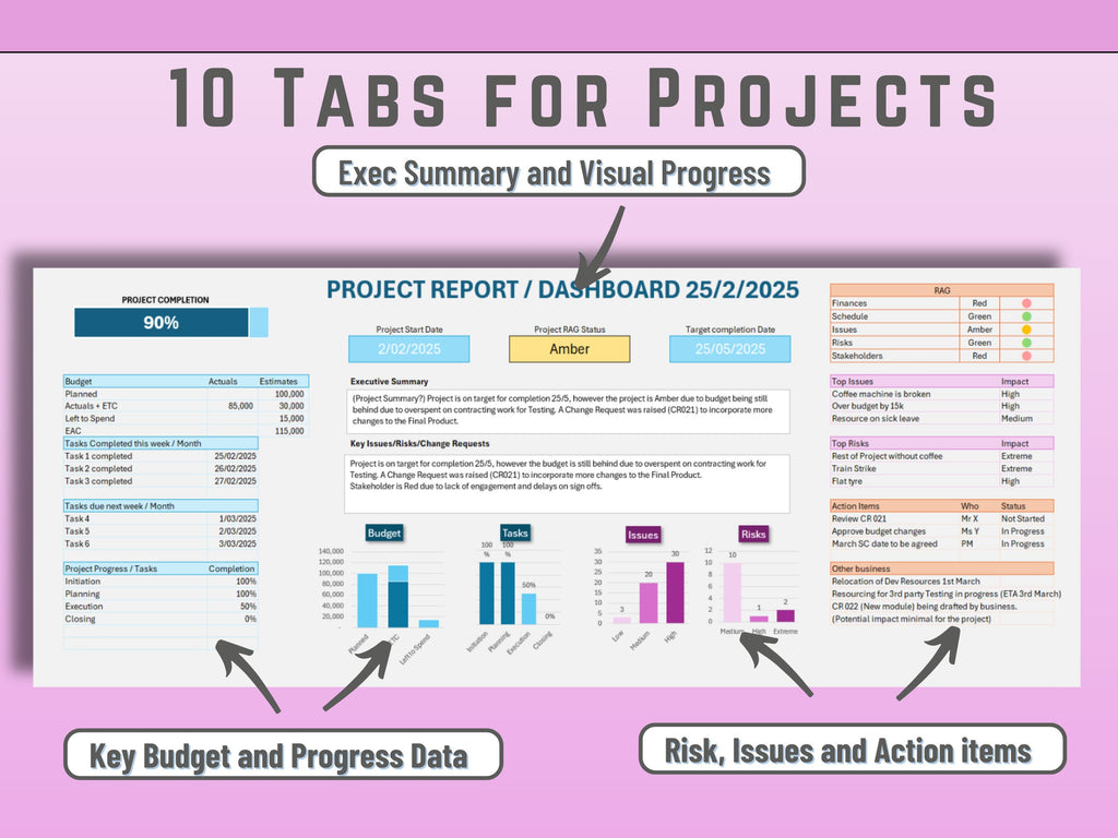 Data-driven Excel stats visualizing budget health and schedule timeframes across a project portfolio.