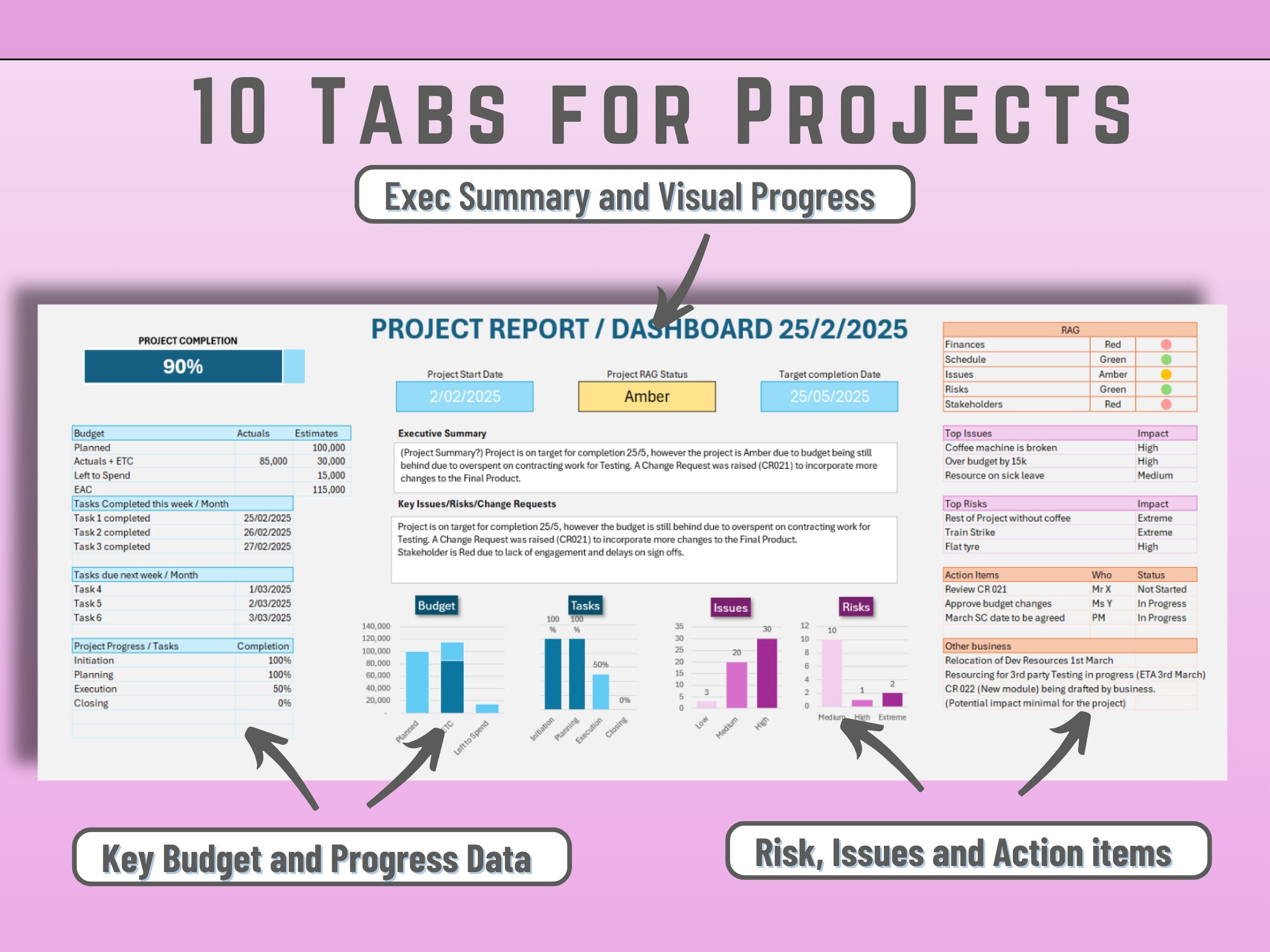 Data-driven Excel stats visualizing budget health and schedule timeframes across a project portfolio.