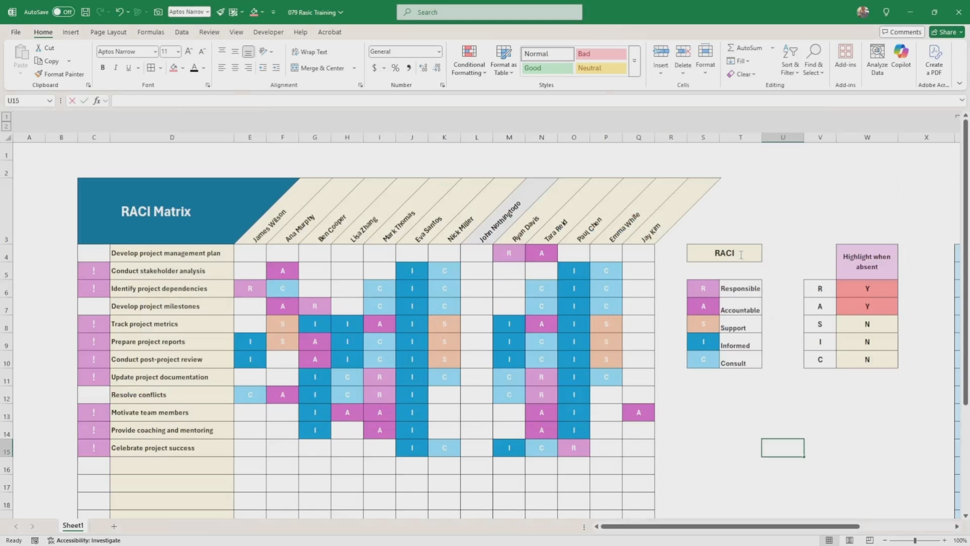 RACI RASIC Matrix Excel Template | Project Management Responsibility Assignment Chart | Editable  Spreadsheet | Task Role Tracker