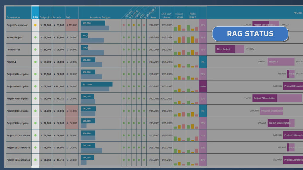 Program and Project Dashboard in Excel | All 10 Projects consolidate in Program view | Manual input possible | Digital Download
