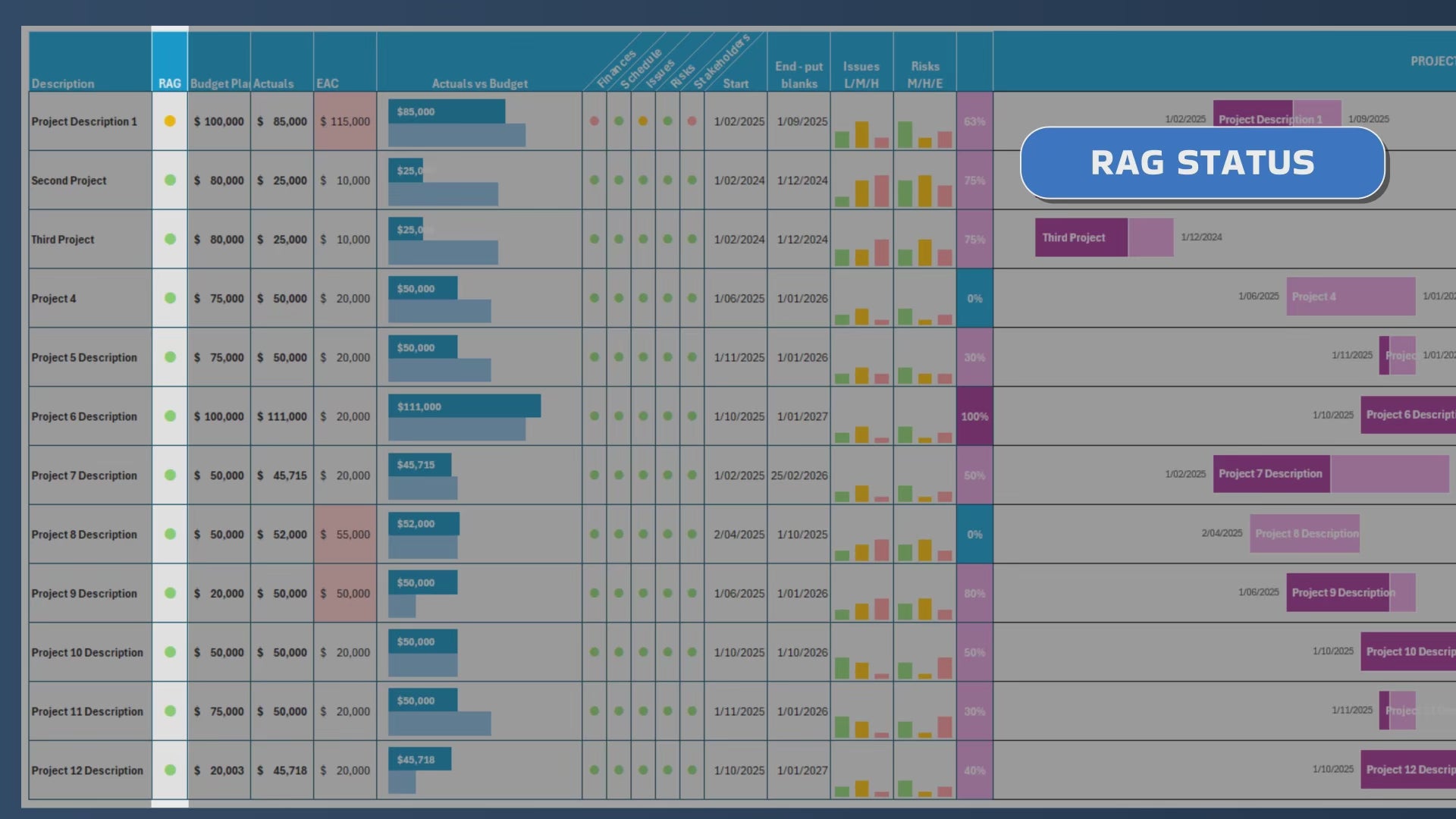 Program and Project Dashboard in Excel | All 10 Projects consolidate in Program view | Manual input possible | Digital Download
