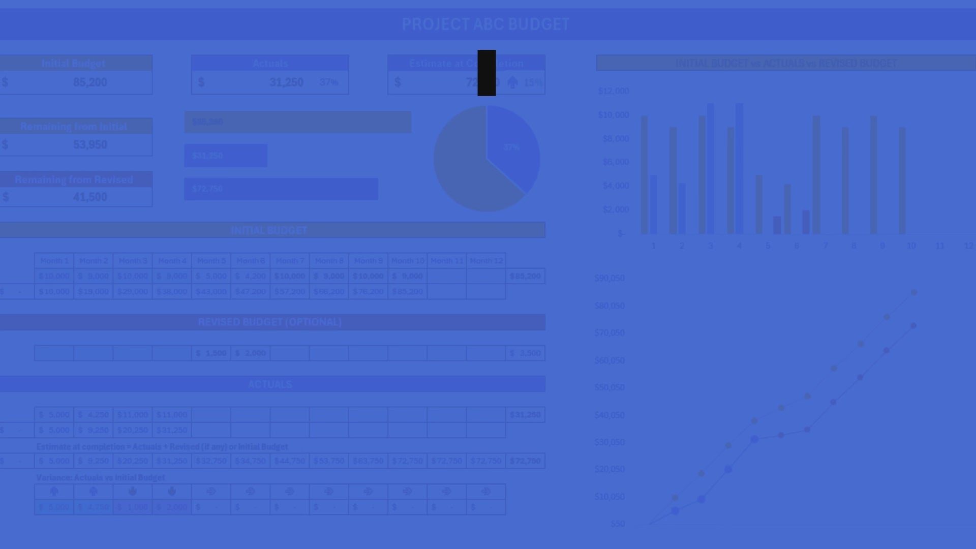 Excel Project Budget Template with 12 Periods (Months or Weeks) - Digital Download - Finance Dashboard Data for Projects